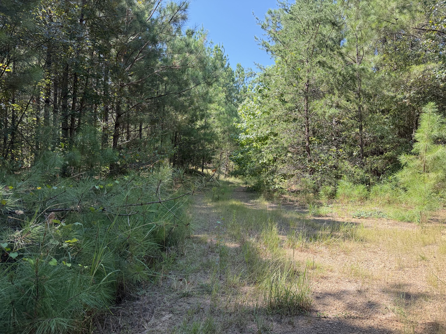 134 acre Westover Alabama property photo 1