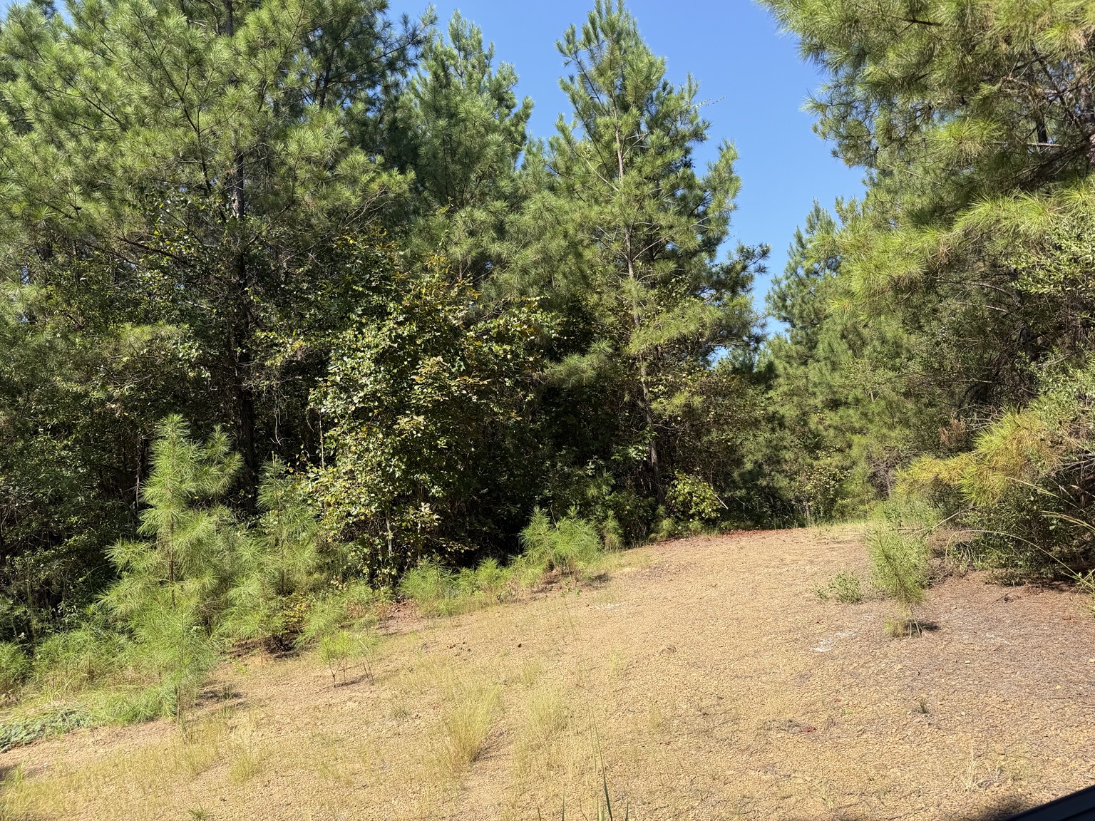 134 acre Westover Alabama property photo 2