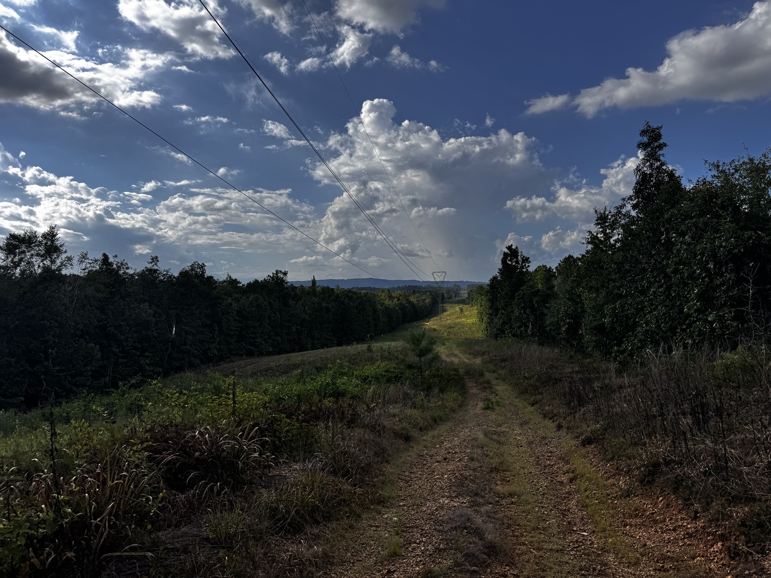 Utility corridor on the 172 acre Westover conservation easement property